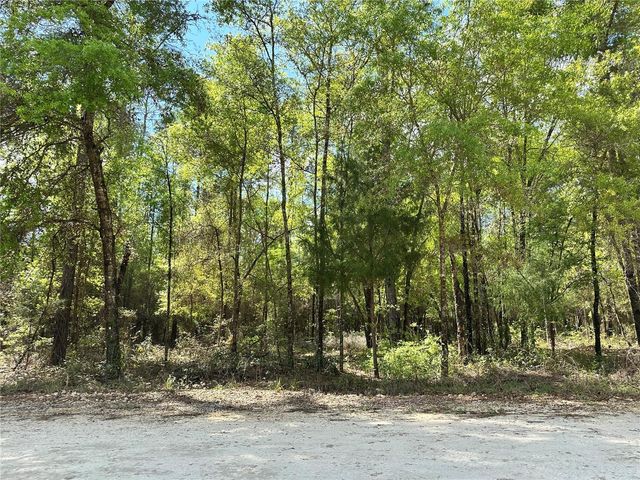 10350 NE 74TH PLACE, Bronson, FL 32621