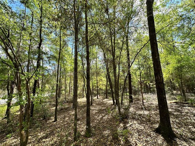 10350 NE 74TH PLACE, Bronson, FL 32621