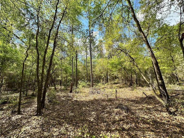 10350 NE 74TH PLACE, Bronson, FL 32621