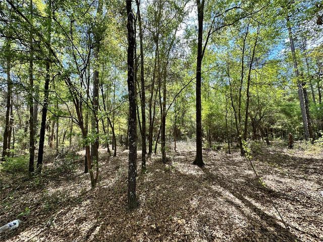 10350 NE 74TH PLACE, Bronson, FL 32621