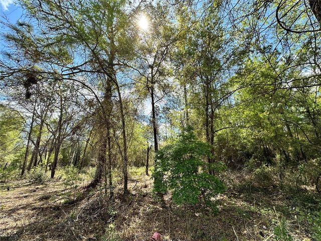 10350 NE 74TH PLACE, Bronson, FL 32621