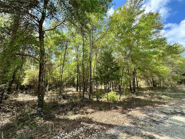 10350 NE 74TH PLACE, Bronson, FL 32621