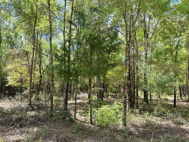 10350 NE 74TH PLACE, Bronson, FL 32621