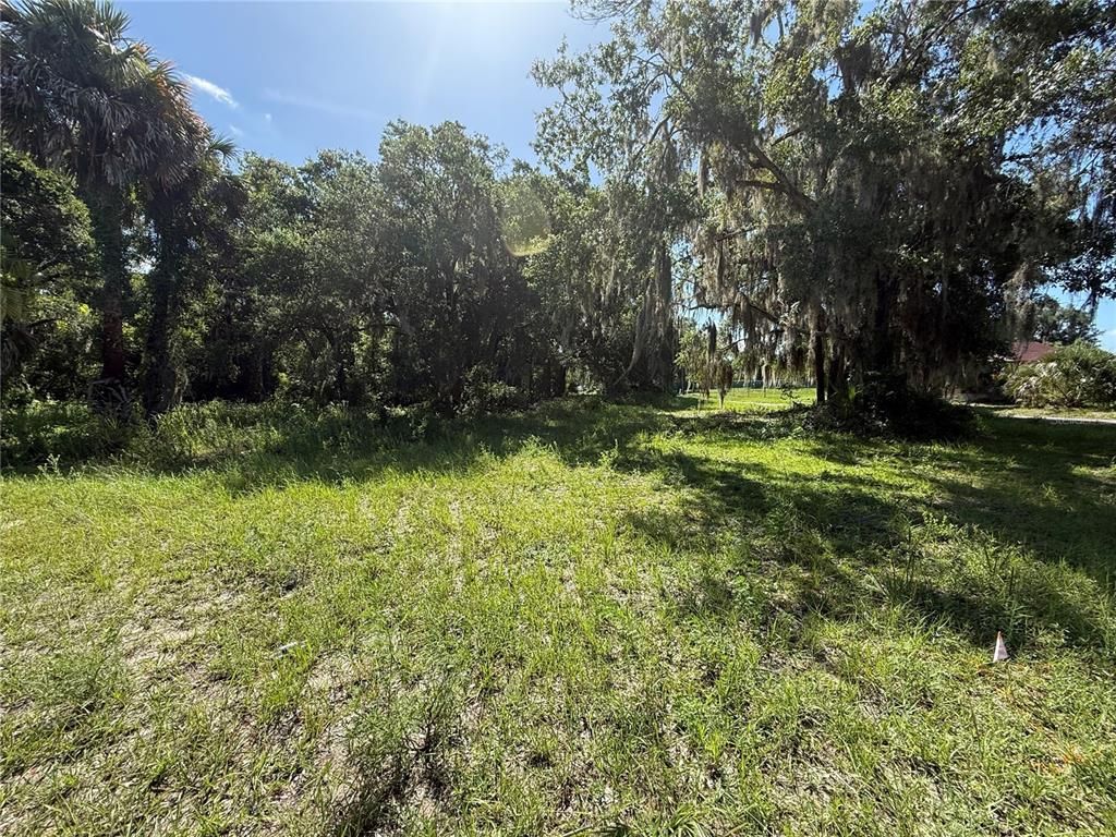 315 PALMETTO STREET, Eustis, FL 32726