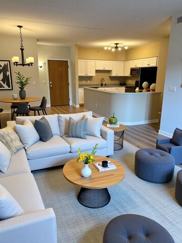 1479 MILWAUKEE Avenue 205, Libertyville, IL 60048