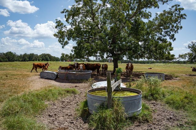 2210 Hermis Road, Schulenburg, TX 78956