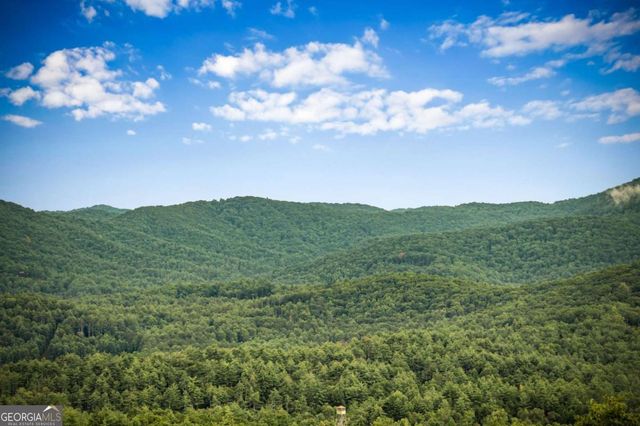 463 Big Sky Trail, Epworth, GA 30541