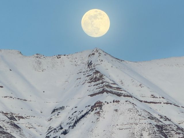 603 S 1040 E, American Fork, UT 84003