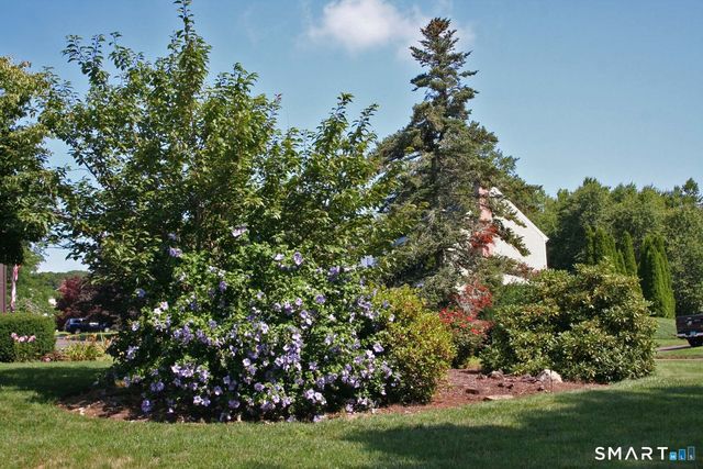 47 Spice Hill Drive, East Hampton, CT 06424