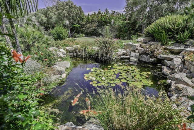 15823 The River Trail, Rancho Santa Fe, CA 92067