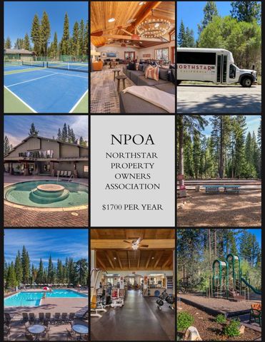 265 Basque, Truckee, CA 96161