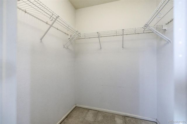 10598 Forester Place, Longmont, CO 80504