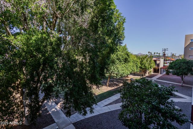 353 E Thomas Road C307, Phoenix, AZ 85012