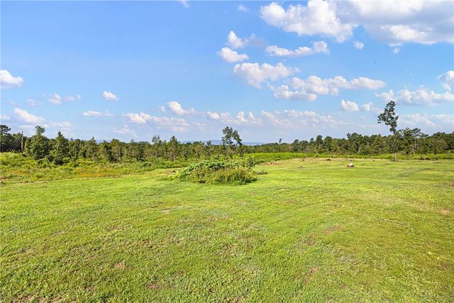 3429 River Mountain Road, Delaware, AR 72835