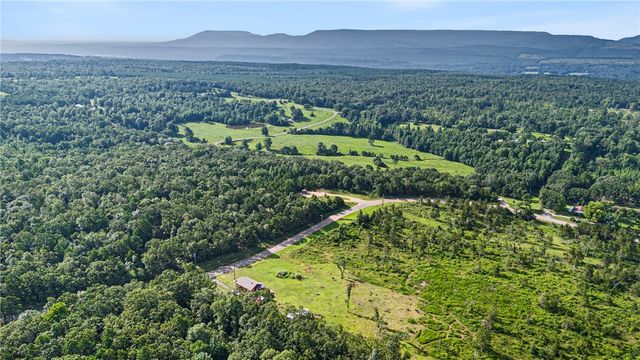 3429 River Mountain Road, Delaware, AR 72835