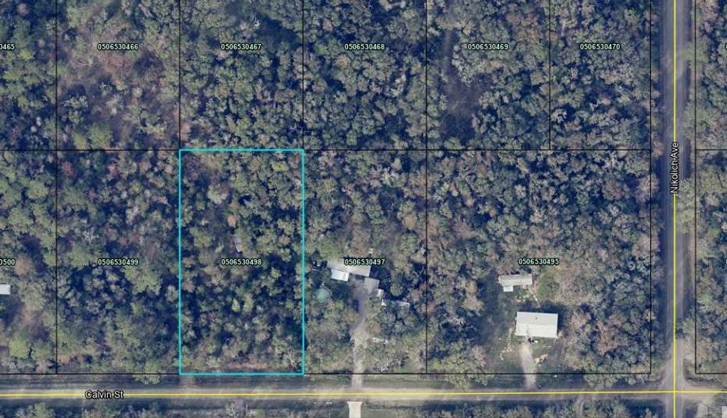 4730 Calvin St, Hastings, FL 32145