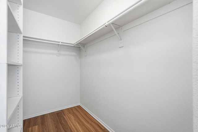 2303 E ELECTRA Lane, Phoenix, AZ 85024