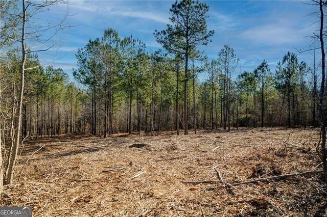 689 Moccasin Gap Road, Jackson, GA 30233