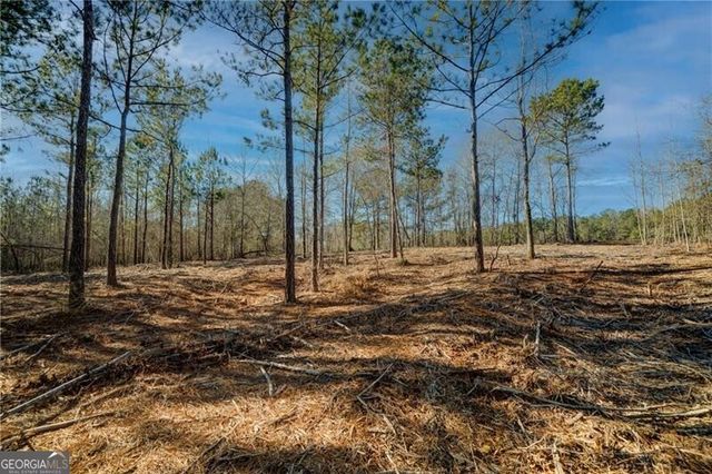 689 Moccasin Gap Road, Jackson, GA 30233