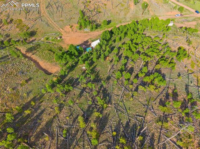 77 Lakeview Circle, Florissant, CO 80816