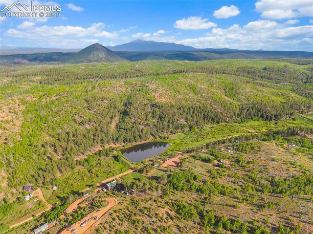 77 Lakeview Circle, Florissant, CO 80816