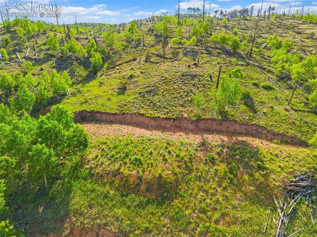 77 Lakeview Circle, Florissant, CO 80816