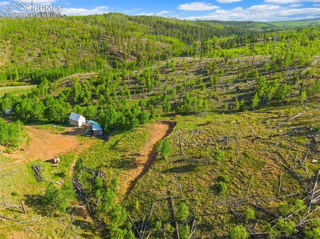 77 Lakeview Circle, Florissant, CO 80816