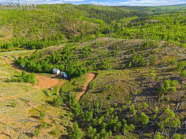 77 Lakeview Circle, Florissant, CO 80816