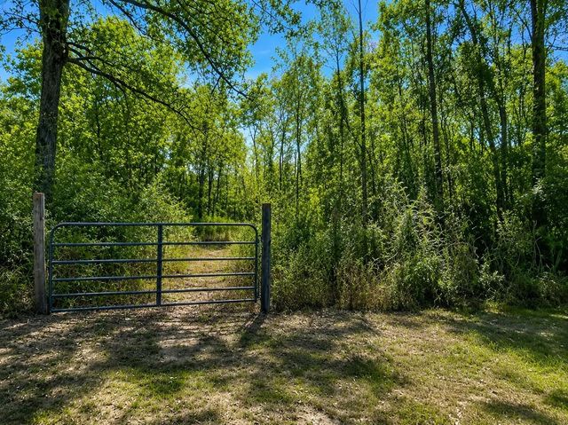 Lot 12 Sam Houston, Willis, TX 77378