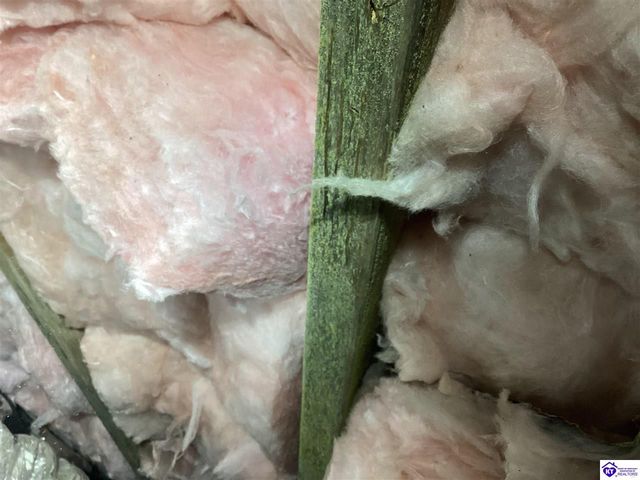 1107 Emory Road, Elizabethtown, KY 42701