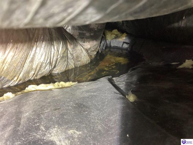 1107 Emory Road, Elizabethtown, KY 42701