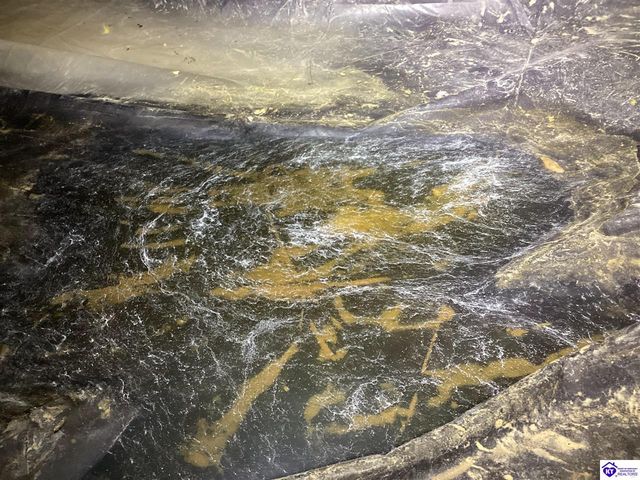 1107 Emory Road, Elizabethtown, KY 42701