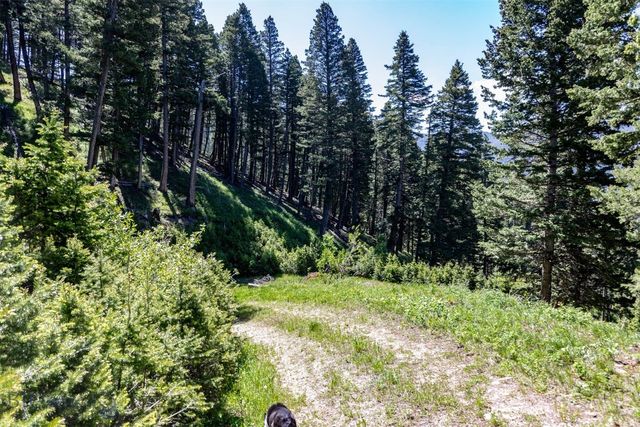 3600 Cottonwood Ranch Trail, Bozeman, MT 59718