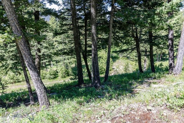3600 Cottonwood Ranch Trail, Bozeman, MT 59718