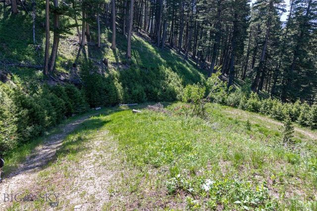 3600 Cottonwood Ranch Trail, Bozeman, MT 59718
