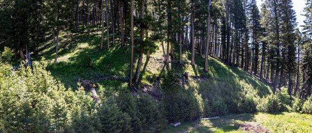 3600 Cottonwood Ranch Trail, Bozeman, MT 59718