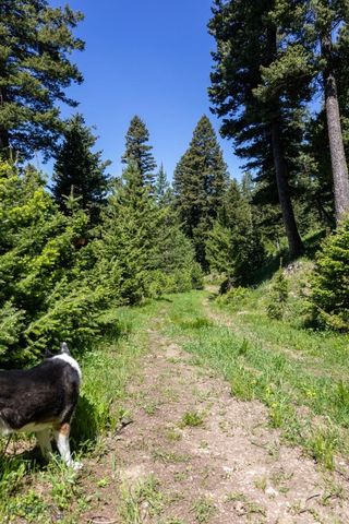 3600 Cottonwood Ranch Trail, Bozeman, MT 59718
