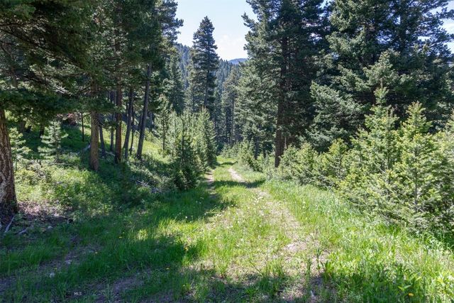 3600 Cottonwood Ranch Trail, Bozeman, MT 59718