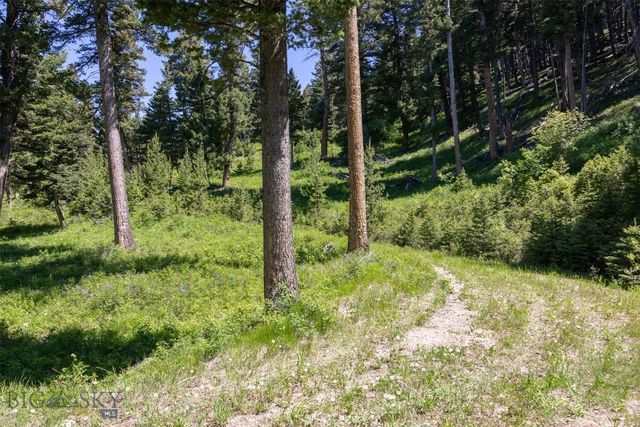 3600 Cottonwood Ranch Trail, Bozeman, MT 59718