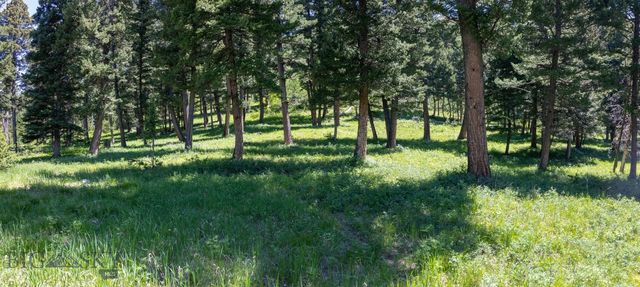 3600 Cottonwood Ranch Trail, Bozeman, MT 59718
