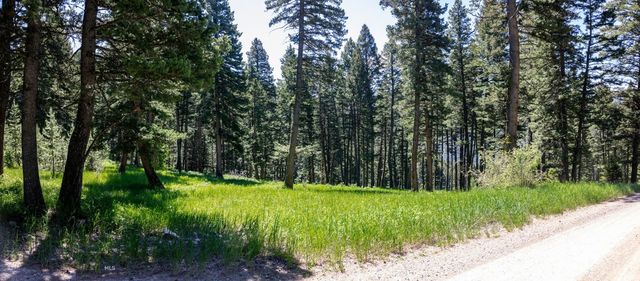3600 Cottonwood Ranch Trail, Bozeman, MT 59718