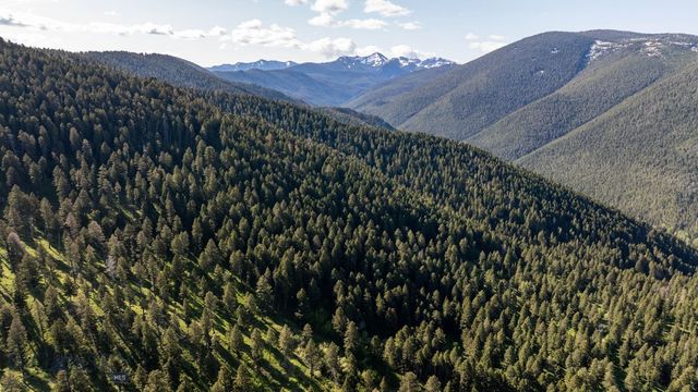 3600 Cottonwood Ranch Trail, Bozeman, MT 59718