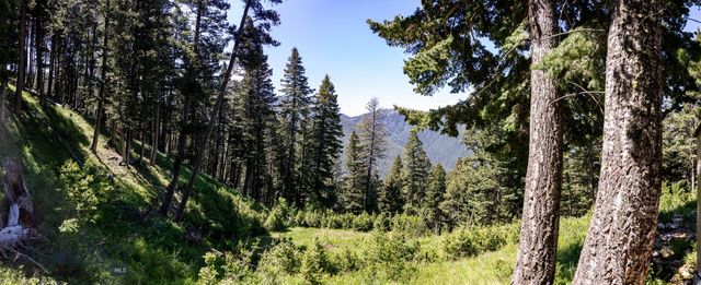 3600 Cottonwood Ranch Trail, Bozeman, MT 59718
