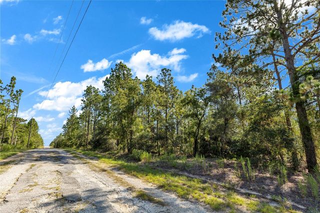 LOTS 17 AND 17 SE 130TH CT, Dunnellon, FL 34431