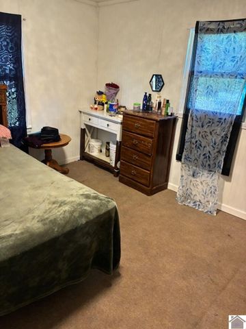 3315 Hovekamp Rd, Paducah, KY 42003