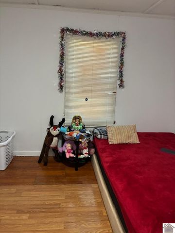 3315 Hovekamp Rd, Paducah, KY 42003