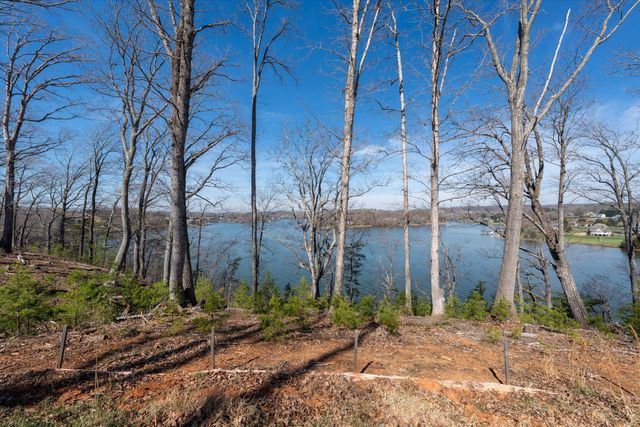 Tract C Cliffs DR, Union Hall, VA 24176