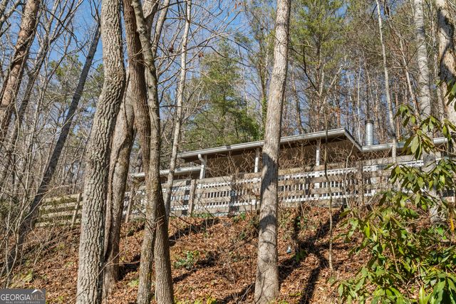 1131 Joe Davis Road, Tiger, GA 30576