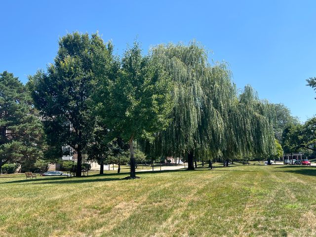 500 Thames Parkway 1F, Park Ridge, IL 60068