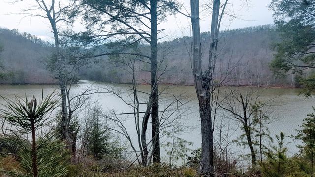 Lot 117 Greenberry DR, Pittsville, VA 24139